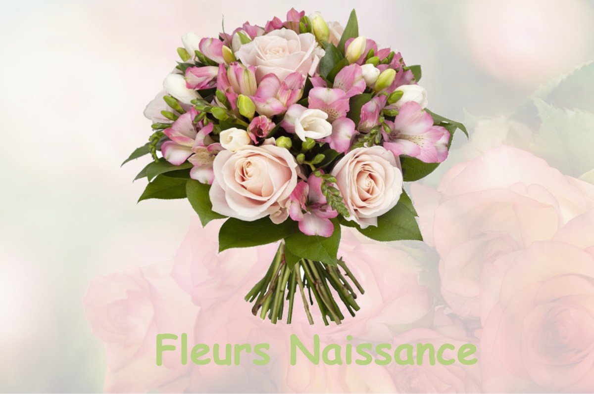 fleurs naissance SAINT-ELIX-SEGLAN