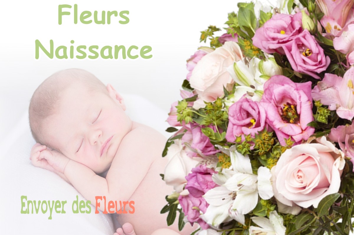 lIVRAISON FLEURS NAISSANCE à SAINT-ELIX-SEGLAN