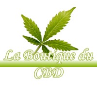 LA BOUTIQUE DU CBD SAINT-ELIX-SEGLAN 